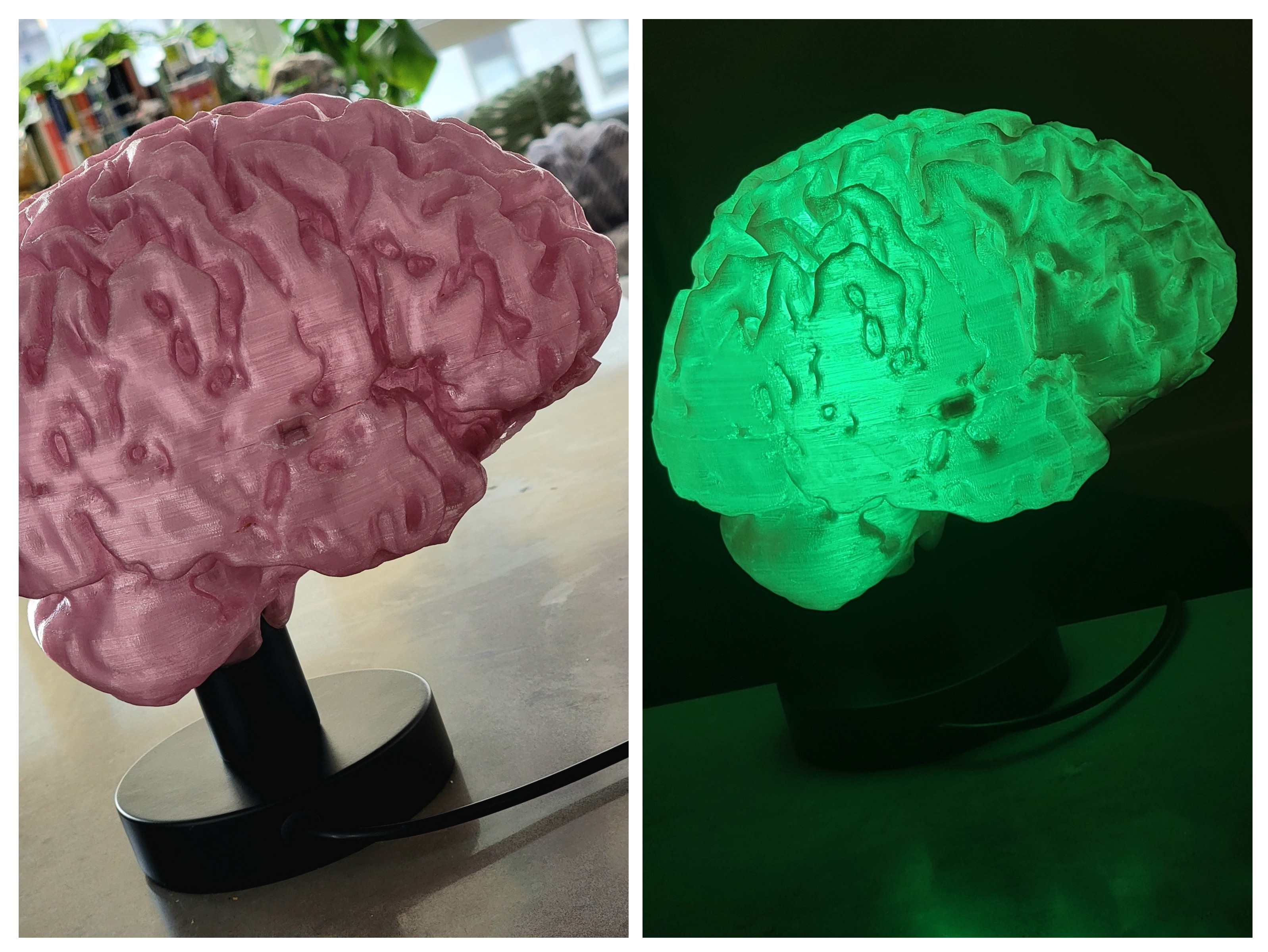Brain Lamp